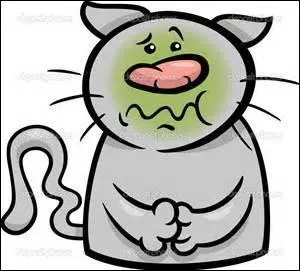 Quelle expression peut-on employer pour signifier que l'on est sur le point de vomir ?