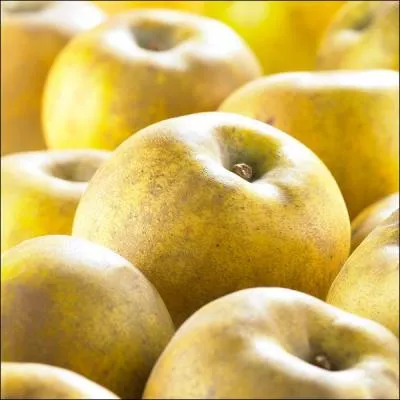 L'aîné laisse sa place à Mars pour faire fleurir les violettes puis à Juin pour faire les fraises. Et enfin, qui apporte les pommes ?