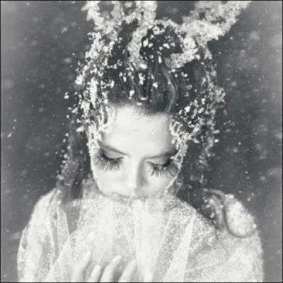 Que fait alors le roi gel ?