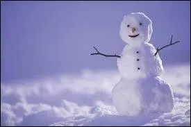 Quelle nation arrache le bronze sur le tableau des m&eacute;dailles ?