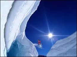 Quel animal est "Roni", la petite mascotte ?