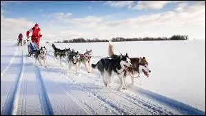 Combien d'&eacute;preuves officielles y a-t-il eu ?