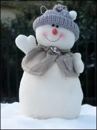 Quel pays gagne la premi&egrave;re m&eacute;daille de son histoire des JO ?