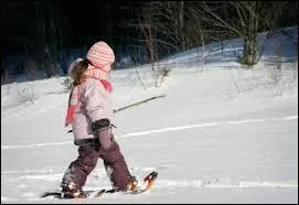 Les mascottes &eacute;taient des ours polaires : Howdy et...
