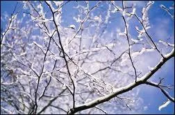 Parmi ces personnes, laquelle a prononc&eacute; le serment olympique ?