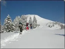 Les mascottes &eacute;taient Hakon et...