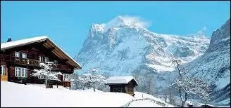 Lequel de ces pays fait son entr&eacute;e aux Jeux olympiques d'hiver ?