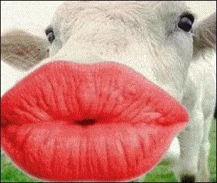 Quel chanteur, cette illustration vous évoque-t-elle ?