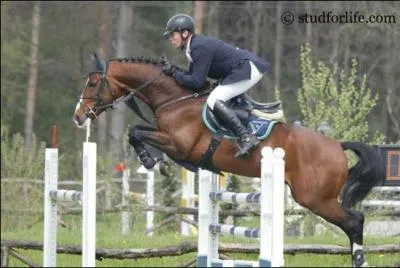 Quel est le mécanisme du saut ?