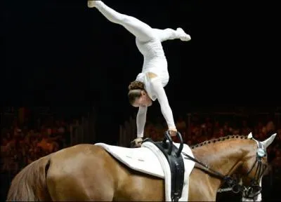 Quelle est cette activité équestre ?