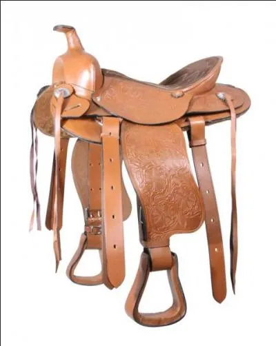 Quel est ce type de selles ?