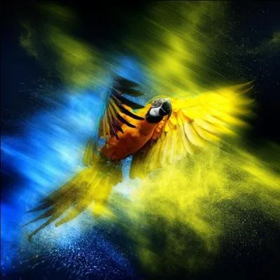 De qui Troy tombe-t-il amoureux dans le 1 ?