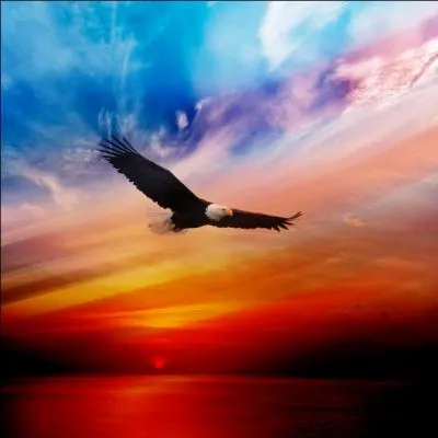 Chad et Taylor sont :