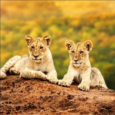 Où vont-ils travailler dans le 3 ?