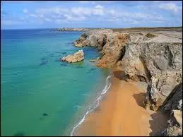 Les parents de Ryan et de Sharpay sont :