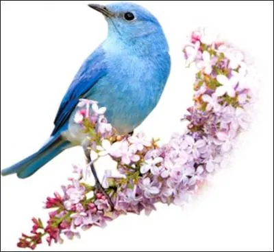 Génétique. Ensemble de gènes qui forment une unité d'information :