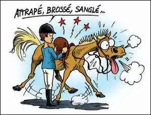 Doit-on ressangler le cheval avant de monter ?