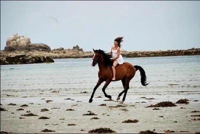 Quand on monte un cheval sans selle, on dit qu'on le monte...