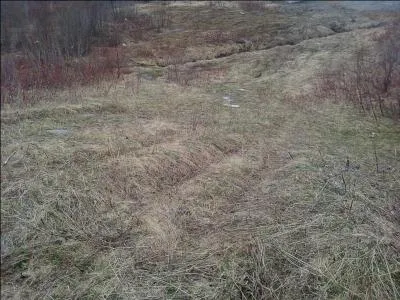 Qui sont dans les Covenants ?