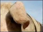 Tout est bon en lui.