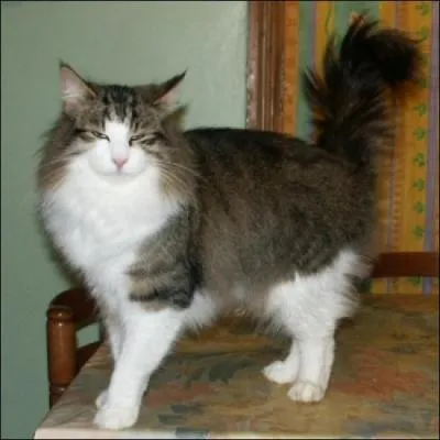 Comment s'appelle-t-elle/il ?