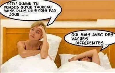 Sciences économiques et sociales, question : Pourquoi certaines personnes fortunées quittent-elles la France ? Réponse d'un candidat :