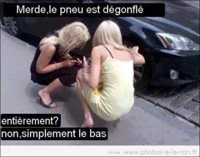 Trouvez le mot manquant : La poésie satirique correspond à de la poésie qui parle de ... . C'est un sujet très intéressant mais pas facile à traiter !