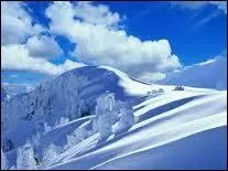 Qui les a officiellement ouverts ?