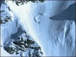 Quels étaient les noms des mascottes ?