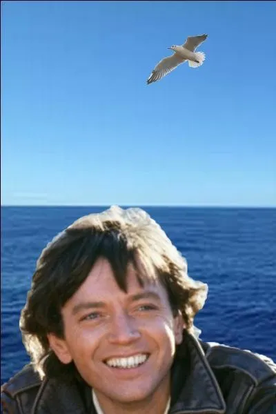 Amoureux de l'océan et des voyages, il aura alors définitivement pris le large, le 17 juillet 2010 à Paris. Quel âge avait-il ?