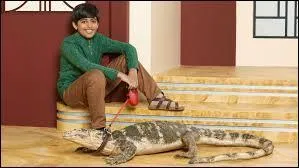 Comment s'appelle le lézard de Ravi ?