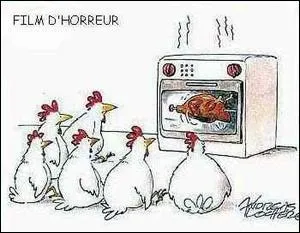 Aux États-Unis, depuis 1999, combien de femmes ont été condamnées pour avoir tué son enfant dans un micro-onde ?