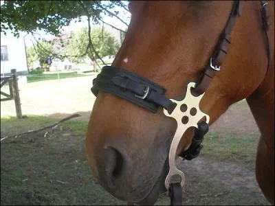 Cette embouchure a pour nom :