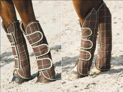 Que porte ce cheval ?