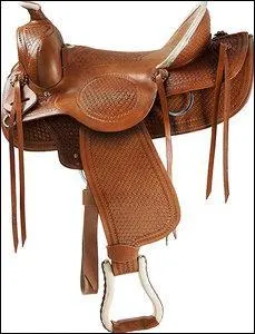 Cette selle est une selle :