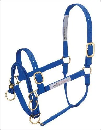 Ce licol est un licol :