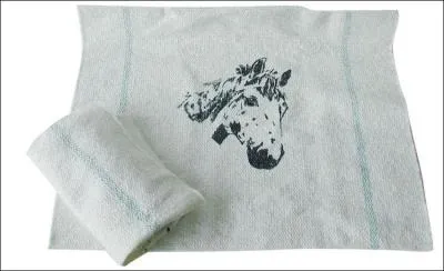 Le chiffon utilisé pour le cheval s'appelle :