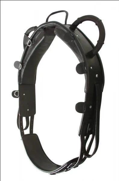 Pour quelle discipline est utilisé ce surfaix ?