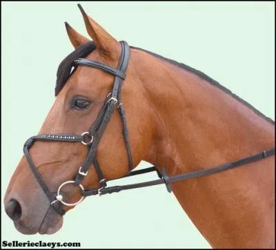 Quel est le nom de la muserolle que porte ce cheval ?