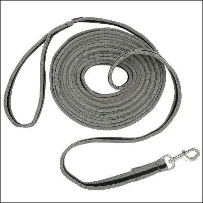 Cette longe est une longe de :