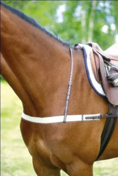 Pour éviter que la selle n'avance, on peut mettre :