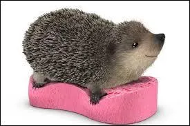 Pour quelle marque d'éponge voit-on un hérisson dans les publicités ?