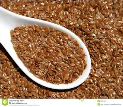 Cette graine, riche en fibres, doit être consommée avec modération sous peine de se révéler être un puissant laxatif. De quelle graine s'agit-il ?