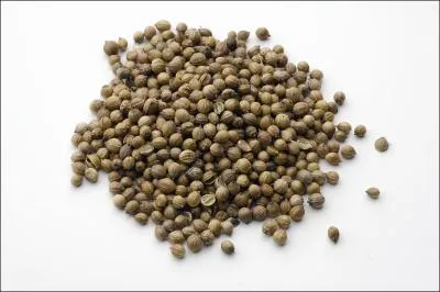 En infusion, ces graines ont des vertus stimulantes et digestives mais on peut également les utiliser dans le couscous et la cuisine chinoise. De quelles graines s'agit-il ?