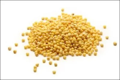 On les utilise notamment pour nourrir la volaille. Quelles sont ces graines ?