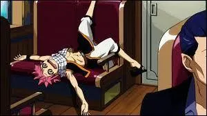 Quel nom porte le sort de Wendy Marvel qui consiste à éliminer, pendant une courte durée, le mal des transports à Natsu Dragnir ?