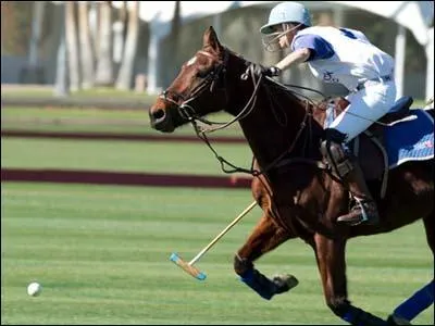 Quelle est cette discipline ?