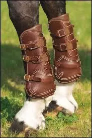 Comment s'appellent ces protections sur les pattes du cheval ?