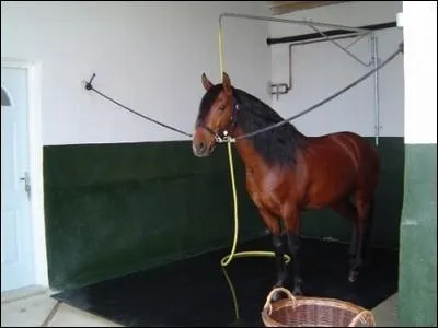 Que fait ce cheval ?