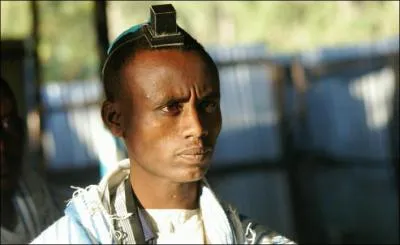 Combien de Falashas seraient présents en Israël depuis leur rapatriement pendant les opérations Moïse et Salomon ?